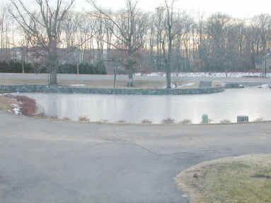 Pond View in Fairfax Virginia